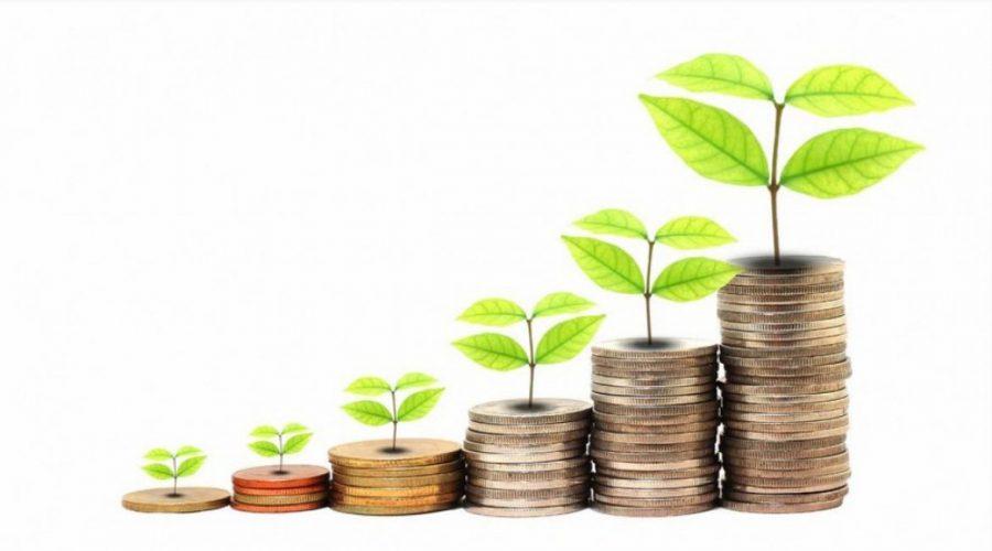 Crisi Ecologica e la menzogna del Capitalismo Verde
