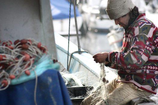 mare pescatore mestiere