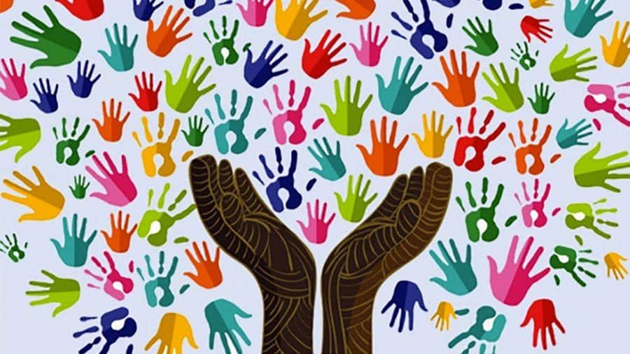 Come gestire una no profit al meglio Gestire una no profit