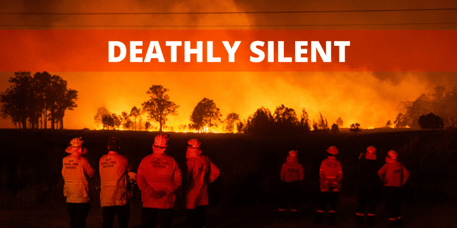 Un cimitero chiamato Australia: le conseguenze degli incendi