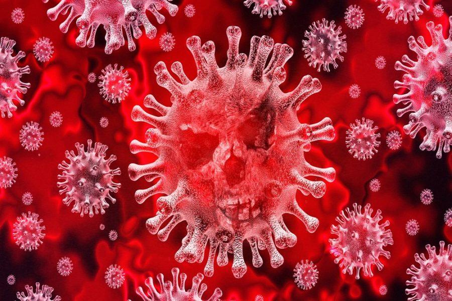 Zoonosi e malattie infettive: come il covid-19 si è trasmesso all'uomo