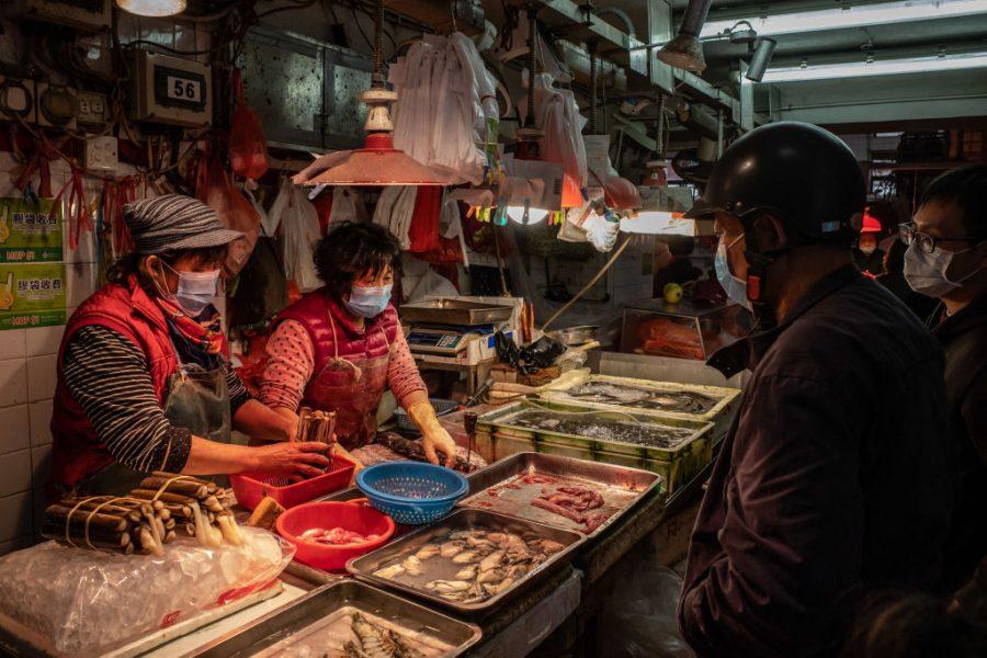 WWF: gli asiatici sono favorevoli allo stop del commercio degli animali selvatici?