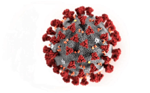 virus