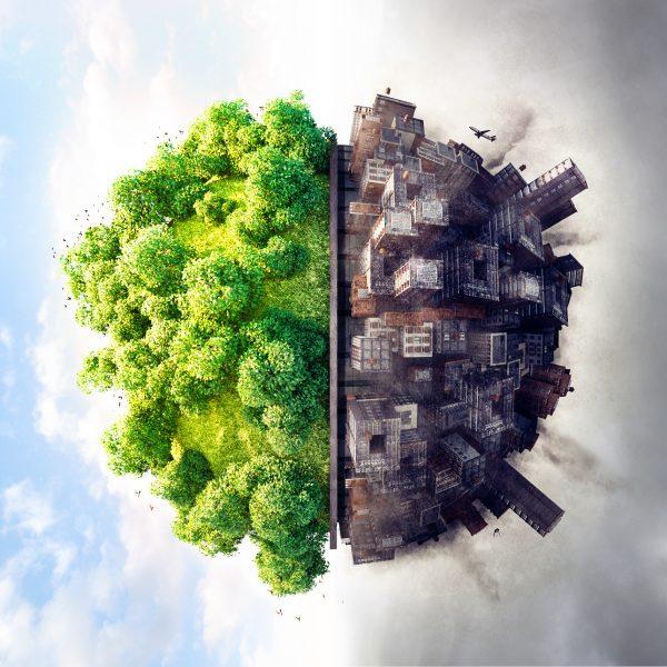 Sociologia dell’ambiente: relazione di crisi tra natura e società