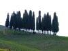 Foscolo, Dei Sepolcri