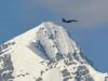 Tensioni sull'Himalaya: cosa sta succedendo tra India e Cina