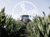 Bayer seppellisce i suoi crimini sotto miliardi di dollari