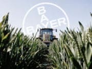 Bayer seppellisce i suoi crimini sotto miliardi di dollari Bayer seppellisce i suoi crimini sotto miliardi di dollari