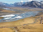 Le trivelle di Trump arrivano nell’Arctic National Wildlife Refuge ANWR