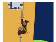 M49: storia dell’orso fuggito due volte che qualcuno vorrebbe abbattere M49: storia dell’orso fuggito due volte che qualcuno vorrebbe abbattere