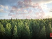 Comprendere la natura, difendere la biodiversità, evitare nuove pandemie Comprendere la natura, difendere la biodiversità, evitare nuove pandemie