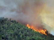 L’Italia che brucia: esiste un legame tra incendi e cambiamenti climatici? L'Italia che brucia: esiste un legame tra incendi e cambiamenti climatici?