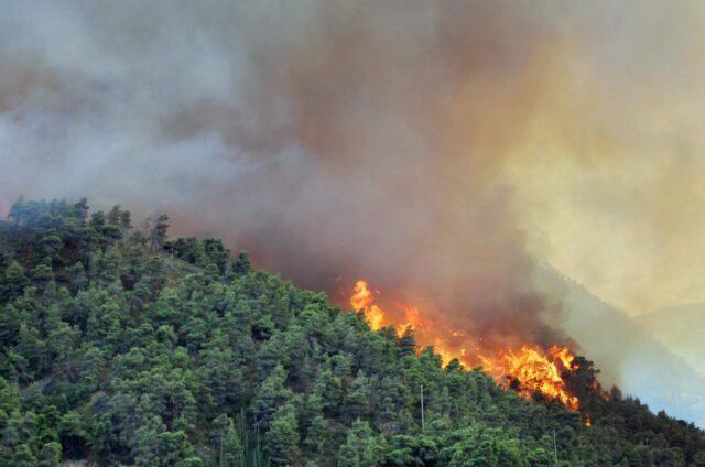 L'Italia che brucia: esiste un legame tra incendi e cambiamenti climatici?