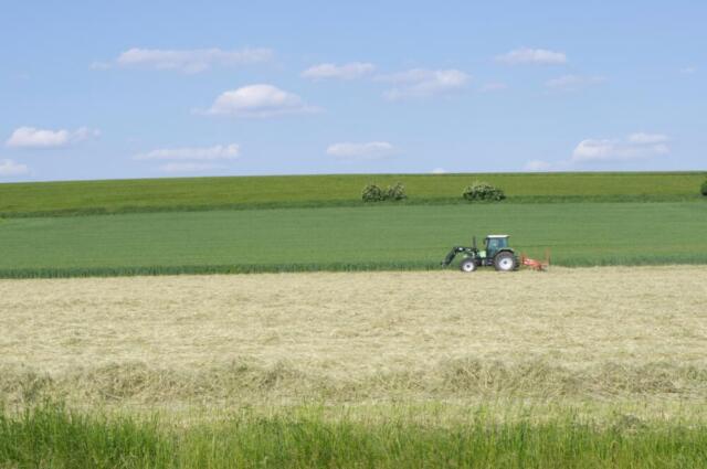 La nuova Politica Agricola Comune è il fallimento dell’ambientalismo La nuova Politica Agricola Comune è il fallimento dell’ambientalismo