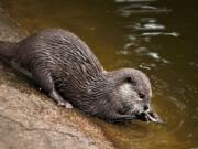 In Italia la biodiversità rischia di cadere nel dimenticatoio In Italia la biodiversità rischia di cadere nel dimenticatoio
