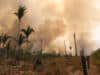 foreste, infrastrutture, cambiamento climatico