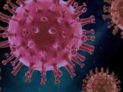 Cosa stiamo facendo per prevenire le prossime pandemie? Cosa stiamo facendo per prevenire la prossima pandemia?