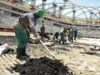 Qatar, lavoratori