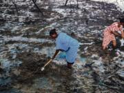 Nigeria e contaminazione da petrolio: la Shell dovrà risarcire i contadini Shell, Nigeria