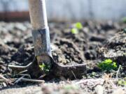 Agricoltura Organica Rigenerativa: aumentare la fertilità tutelando la natura Agricoltura Organica Rigenerativa: aumentare la fertilità tutelando la natura