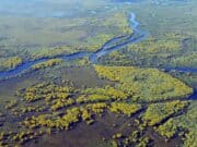 Pantanal: bisogna difendere le zone umide dalla produzione di carne Pantanal e zone umide: l'insostenibilità della produzione di carne e soia