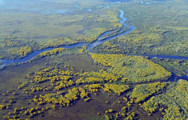Pantanal e zone umide: l'insostenibilità della produzione di carne e soia Pantanal e zone umide: l'insostenibilità della produzione di carne e soia