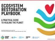Ecosystem Restoration PlayBook: guida per il ripristino degli ecosistemi Ecosystem Restoration PlayBook: la guida dell'UNEP per il ripristino degli ecosistemi