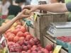 Sovranità alimentare: in Emilia Romagna l'agroecologia applicata