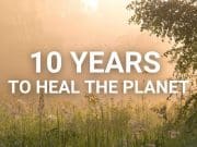 Giornata mondiale dell’ambiente, un impegno lungo 10 anni Giornata mondiale dell'ambiente - ecosistemi