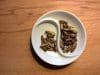 L'alimentazione del futuro? Una dieta di alghe, funghi e insetti