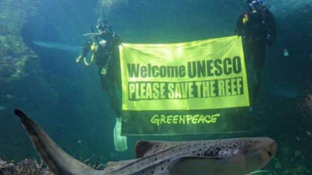 Grande Barriera Corallina