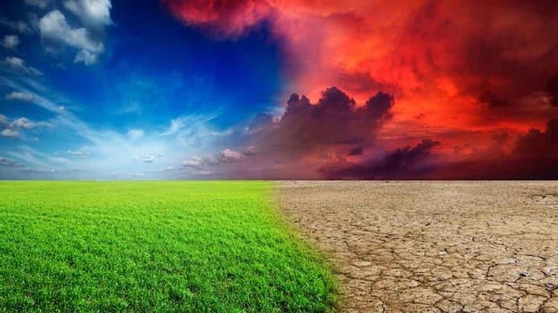 Il clima è sempre più caldo ed estremo. Toccati i 52° in Canada. 