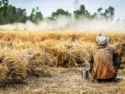 Camara Fantamadi: nelle campagne dove batte il sole si muore di fatica Camara Fantamadi: nelle campagne dove batte il sole si muore di fatica