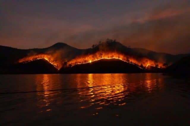 Il fumo degli incendi boschivi aggrava la pandemia da Covid-19