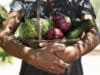 alimentazione sostenibile