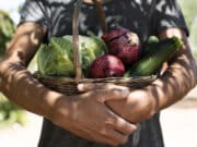 Alimentazione sostenibile: la ricetta per salvare il pianeta soddisfa i gusti di tutti alimentazione sostenibile