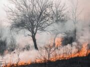 Caldo record in Europa: è l’effetto del cambiamento climatico Caldo record in Europa: è l'effetto del cambiamento climatico
