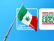 Referendum Cannabis: qui si fa la storia Referendum Cannabis