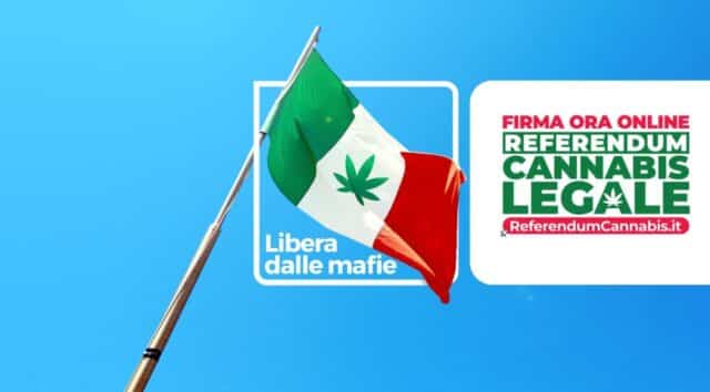 Referendum Cannabis