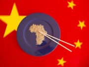 La strategia cinese in Africa, neocolonialismo o pragmatismo economico? La strategia cinese in Africa subsahariana, neocolonialismo o pragmatismo economico?