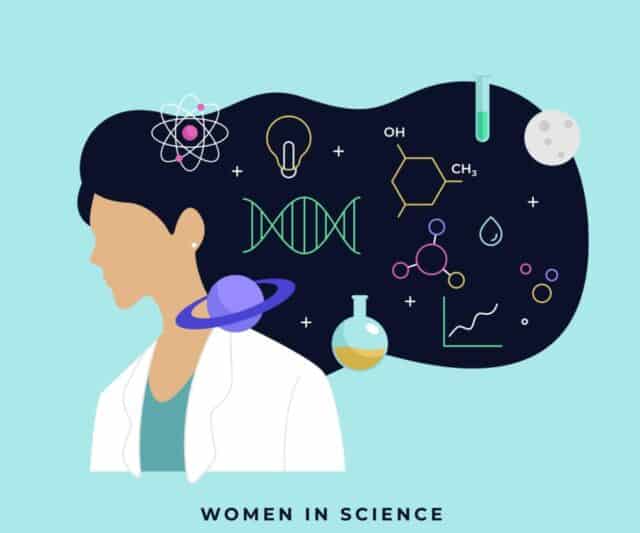 donne stem