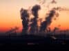 WWF: buone e cattive notizie del 2021 per ambiente e clima