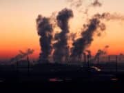 WWF: buone e cattive notizie del 2021 per ambiente e clima WWF: buone e cattive notizie del 2021 per ambiente e clima