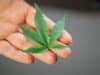 CBD: perché è utile contro l'ansia?