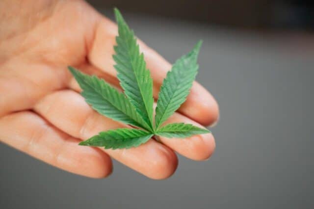 CBD: perché è utile contro l'ansia?