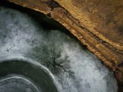 Lo scioglimento del permafrost potrebbe liberare antichi virus? Lo scioglimento del permafrost potrebbe liberare antichi virus