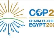 Cop27 - Egitto - greenwashing - diritti