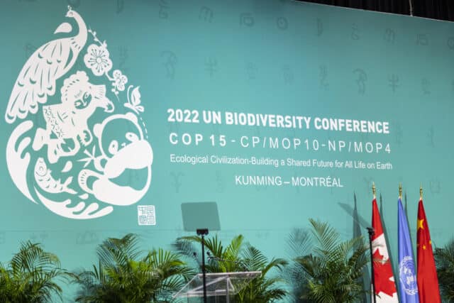 COP15 - biodiversità - GBF