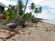 Crisi climatica e metaverso: Tuvalu produce un gemello digitale di se stesso Tuvalu - metaverso