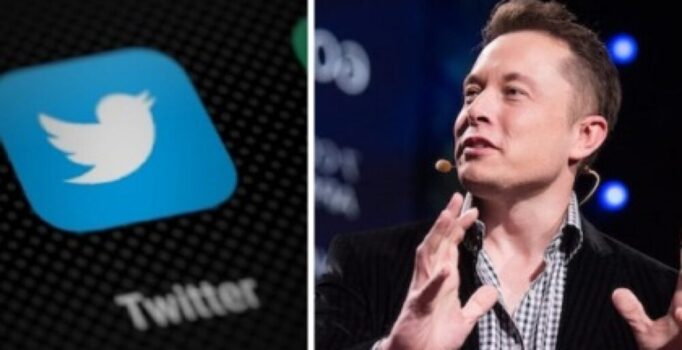 Elon Musk, CEO di Twitter